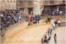 Prove di Addestramento Mattutine: la gallery di Benedetta Aucone